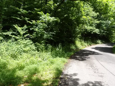 0 E Blue Creek Rd, Mcewen, TN 37101