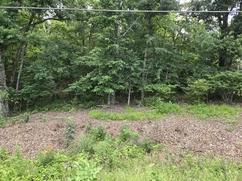 0 Powers Blvd, Waverly, TN 37185