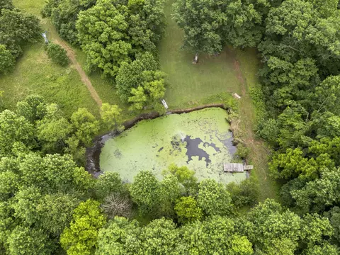 View/Area - 1100 Mill Rd, Dickson, TN 37055 photo 14 of 18