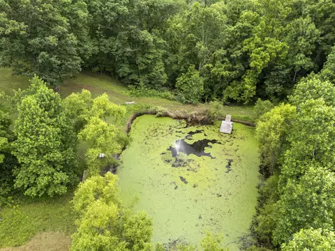 View/Area - 1100 Mill Rd, Dickson, TN 37055 photo 17 of 18