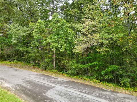 0 Jacobs Rd, Ringgold, GA 30736 photo 8