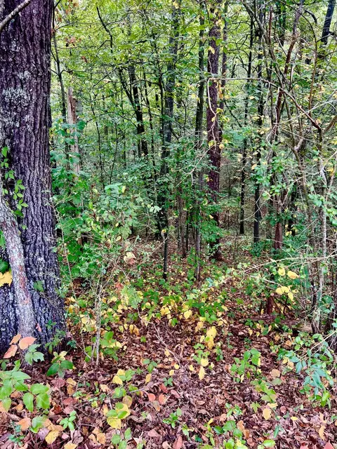 0 Jacobs Rd, Ringgold, GA 30736 photo 12