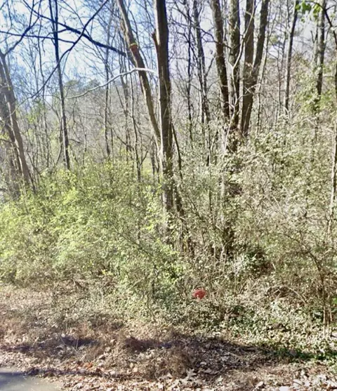 3433 Vinewood Dr, Chattanooga, TN 37406