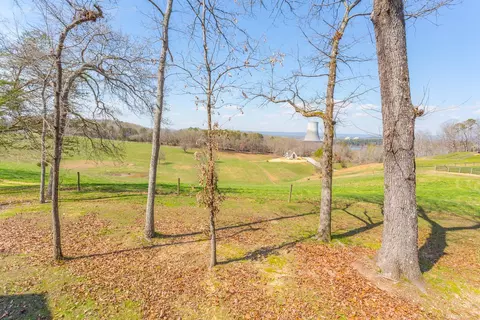 9989 Caseview Dr, Harrison, TN 37341 photo 12