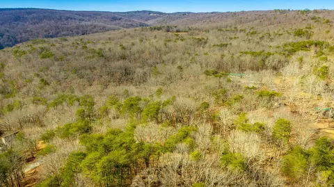 172 Camp Rd, Dunlap, TN 37327 photo 14
