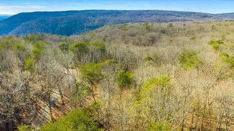 172 Camp Rd, Dunlap, TN 37327 photo 26