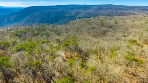 172 Camp Rd, Dunlap, TN 37327 photo 13
