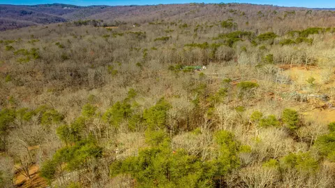 172 Camp Rd, Dunlap, TN 37327 photo 16