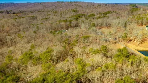 172 Camp Rd, Dunlap, TN 37327 photo 15