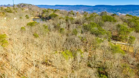 172 Camp Rd, Dunlap, TN 37327 photo 32