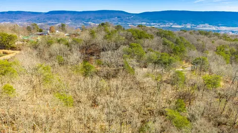 172 Camp Rd, Dunlap, TN 37327 photo 34