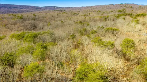 172 Camp Rd, Dunlap, TN 37327 photo 27