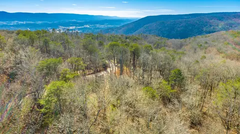 172 Camp Rd, Dunlap, TN 37327 photo 25