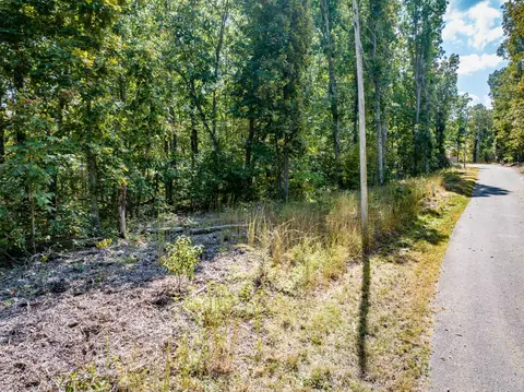0 Ridgeway Dr, Sugar Tree, TN 38380 photo 7
