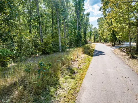 0 Ridgeway Dr, Sugar Tree, TN 38380 photo 8