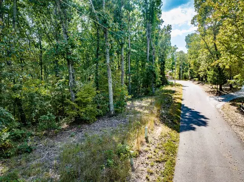 0 Ridgeway Dr, Sugar Tree, TN 38380 photo 4