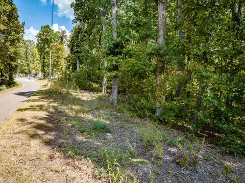0 Ridgeway Dr, Sugar Tree, TN 38380 photo 6
