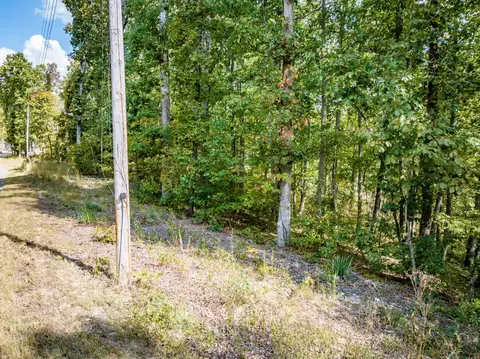 0 Ridgeway Dr, Sugar Tree, TN 38380 photo 5