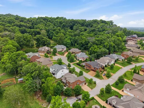View/Area - 117 Azalea Ln, Franklin, TN 37064 photo 5 of 8