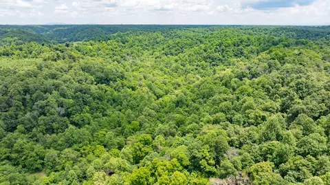 582 Cedar Bend Rd, Beechgrove, TN 37018 photo 24