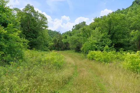 582 Cedar Bend Rd, Beechgrove, TN 37018 photo 11