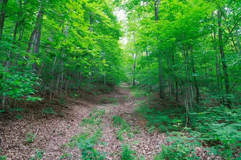 582 Cedar Bend Rd, Beechgrove, TN 37018 photo 13