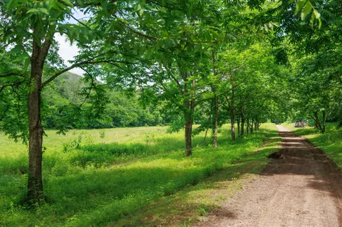 582 Cedar Bend Rd, Beechgrove, TN 37018 photo 4