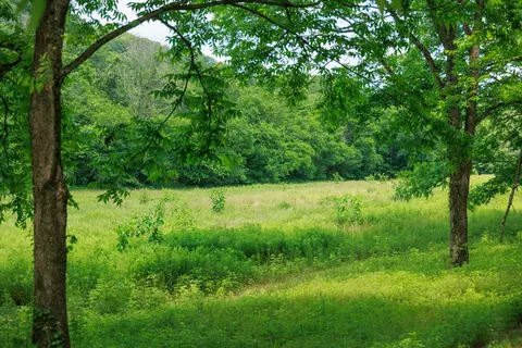 582 Cedar Bend Rd, Beechgrove, TN 37018 photo 10
