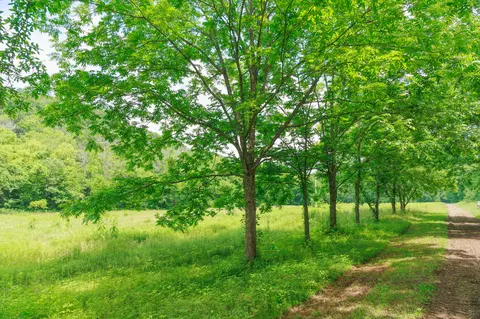 582 Cedar Bend Rd, Beechgrove, TN 37018 photo 3