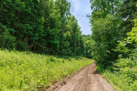 582 Cedar Bend Rd, Beechgrove, TN 37018 photo 2