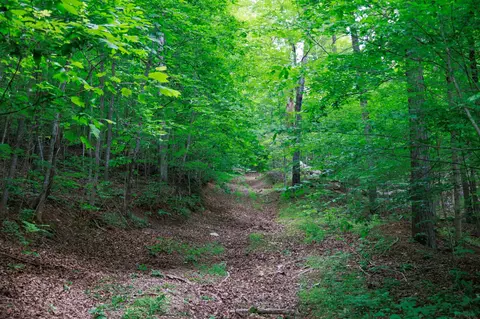 582 Cedar Bend Rd, Beechgrove, TN 37018 photo 14