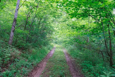 582 Cedar Bend Rd, Beechgrove, TN 37018 photo 12