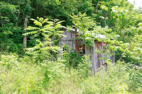 582 Cedar Bend Rd, Beechgrove, TN 37018 photo 18