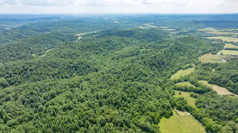 582 Cedar Bend Rd, Beechgrove, TN 37018 photo 30