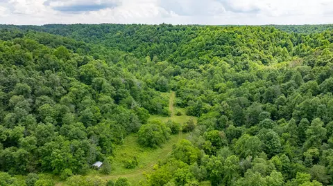 582 Cedar Bend Rd, Beechgrove, TN 37018 photo 16