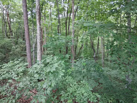 0 Mcdonald Loop, Dickson, TN 37055 photo 4