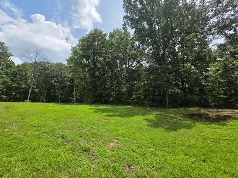 0 Baggett Holw, Cunningham, TN 37052