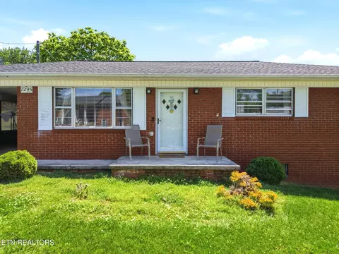 7295 Briarwood Dr, Talbott, TN 37877 photo 6