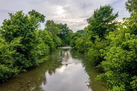 0 Ostella Rd, Cornersville, TN 37047