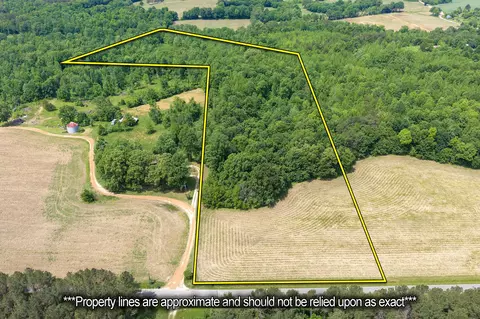 0 Mann Rd, Hollow Rock, TN 38342