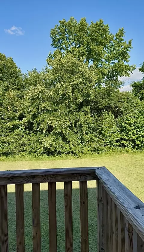 Exterior - 1007 Edgewood Dr, Dickson, TN 37055 photo 7 of 13