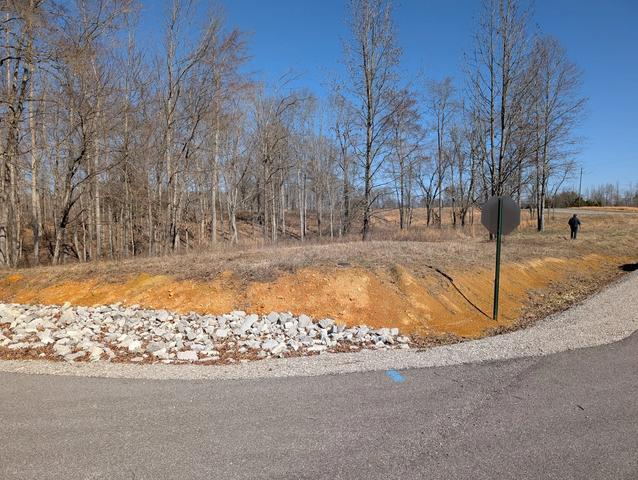 5916 Canoe Way, Baxter, TN 38544