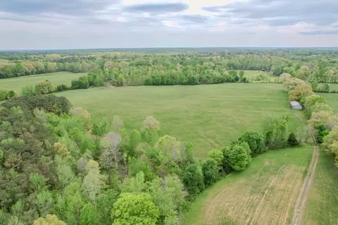 0 Puncheon Br, Minor Hill, TN 38473
