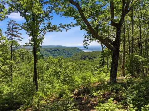 0 Split Rail Way, Guild, TN 37340 photo 2