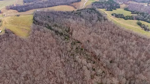 Other - 0 Waterloo Rd, Westpoint, TN 38486 photo 16 of 20