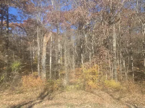 Other - 0 Waterloo Rd, Westpoint, TN 38486 photo 3 of 20