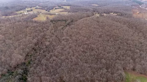 Other - 0 Waterloo Rd, Westpoint, TN 38486 photo 14 of 20