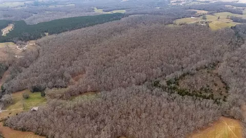 Other - 0 Waterloo Rd, Westpoint, TN 38486 photo 19 of 20