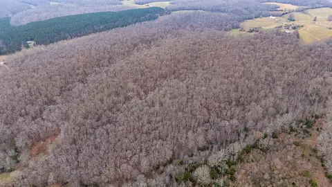 Other - 0 Waterloo Rd, Westpoint, TN 38486 photo 17 of 20