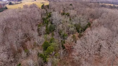 View/Area - 0 Waterloo Rd, Westpoint, TN 38486 photo 6 of 7